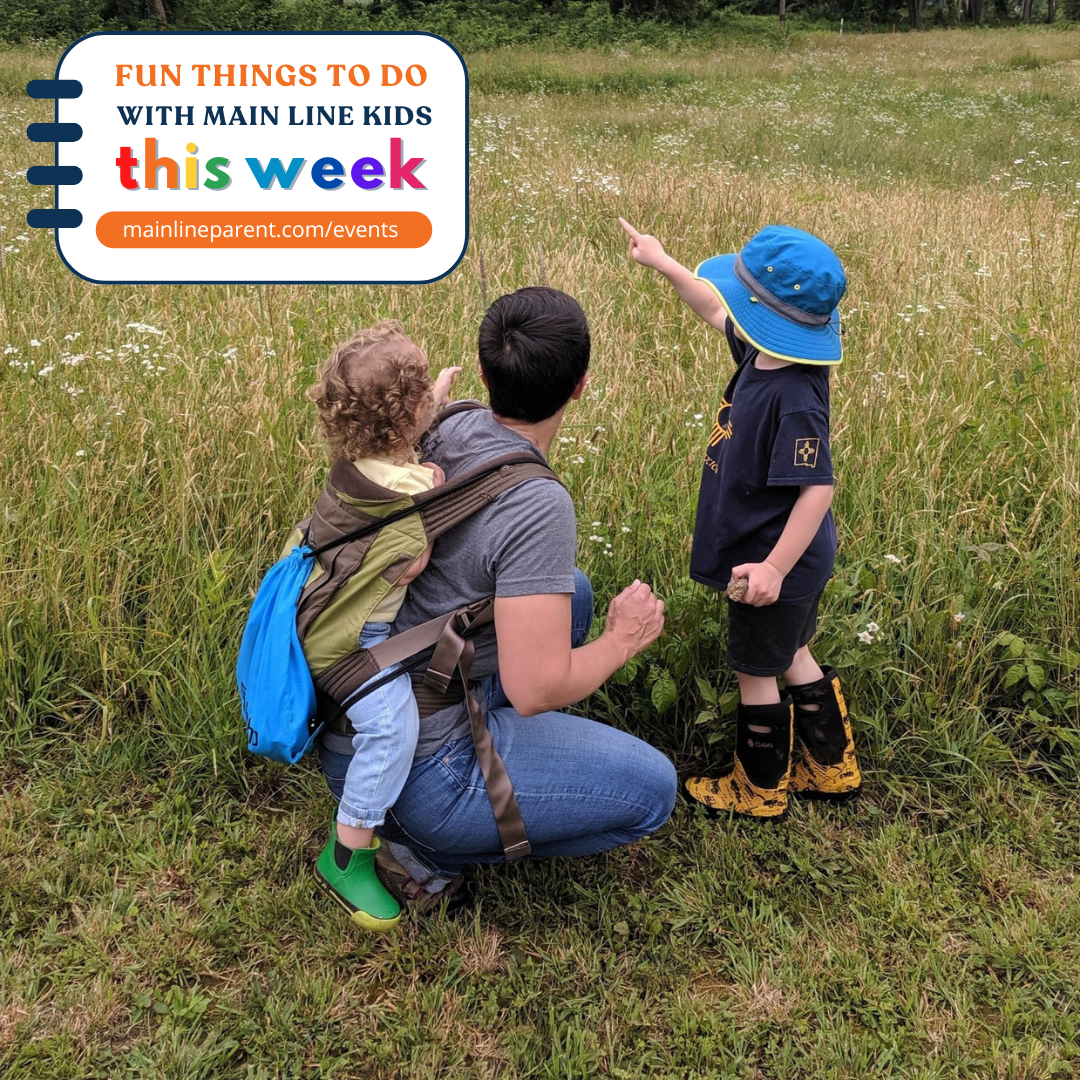 Everest Discovery LLC • Main Line Parent